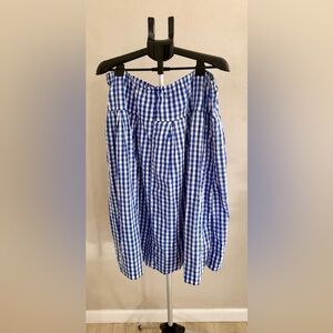 Alex Mill Blue and White Gingham A-Line Skirt